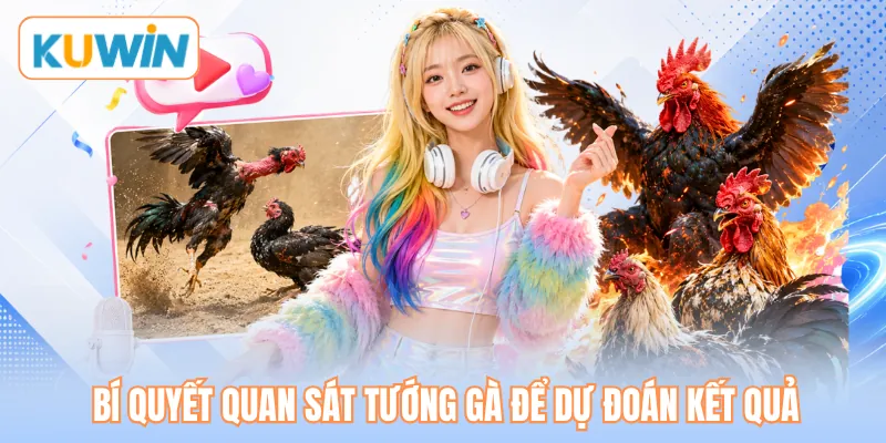 Bí quyết quan sát tướng gà để dự đoán kết quả Bí quyết quan sát tướng gà để dự đoán kết quả